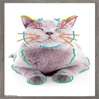 Мачка-Смешни Лице Ѕид Постер, 22.375 34