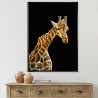 DesignArt 'Портрет на жирафа на црна позадина II' фарма куќа врамена платно за печатење на wallидови од wallидови