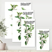 Дизајн Антички зелени лисја растенија vii 'Традиционална печатење на wallидови на платно