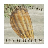 Трговска марка ликовна уметност „Фарм свежи моркови“ платно уметност од Сју Шлабах